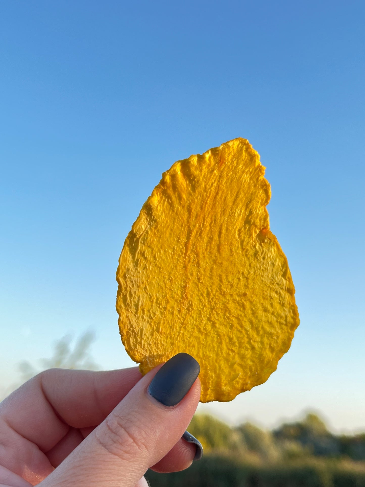 Манго барний