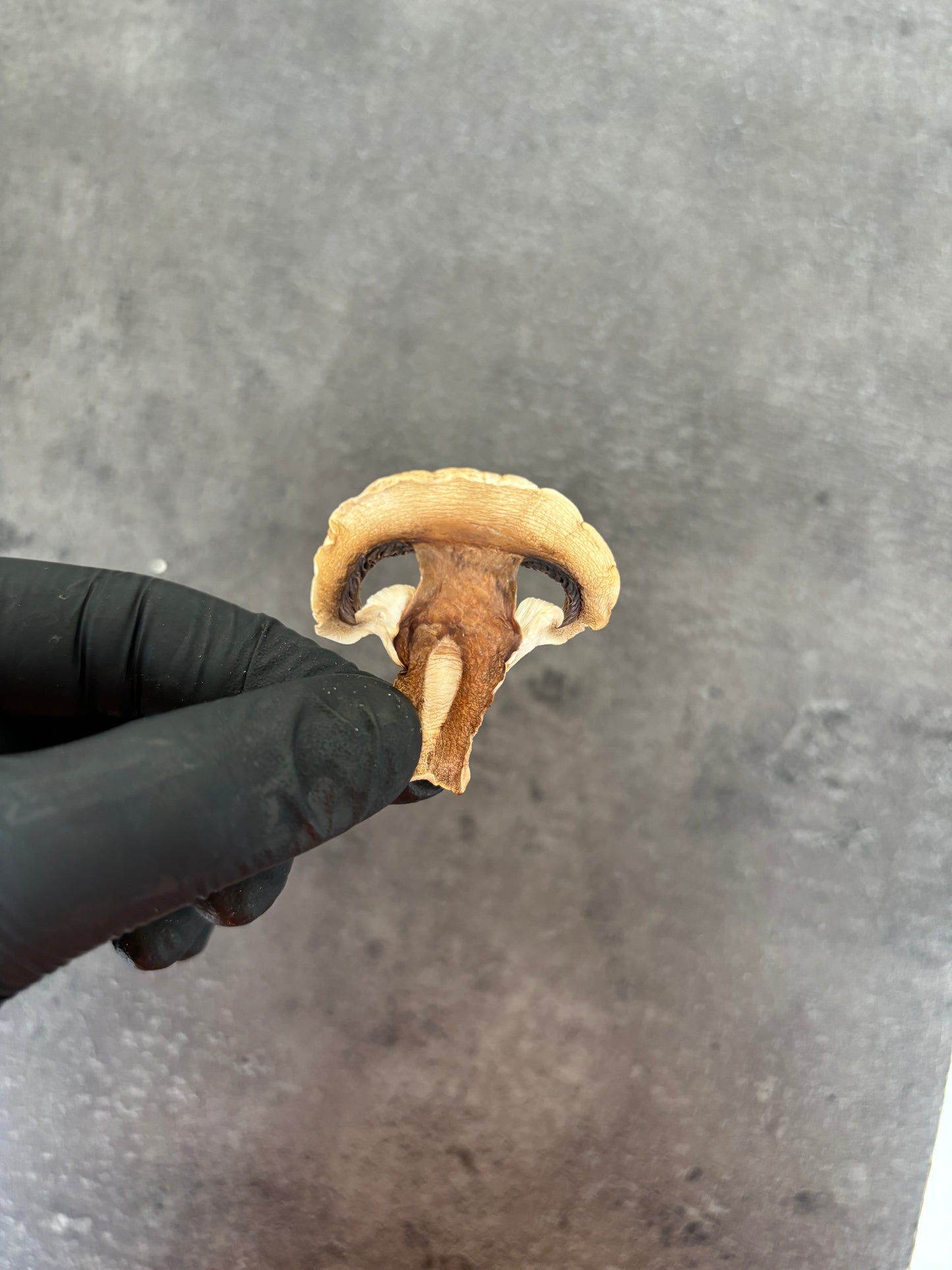 Чипси з шампіньонів